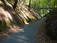Rozenbos / Holleweg