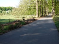 Rozenbos / Holleweg