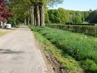 Valkenberg von Rheden