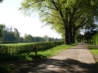 Valkenberg von Rheden