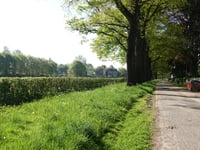 Valkenberg von Rheden