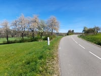 Col du Pigeonnier desde Lembach