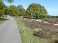 Zijpenberg über Bezoekerscentrum Veluwezoom