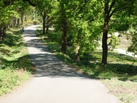 Snippendaalseweg