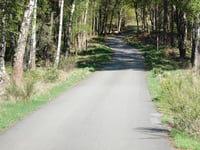 Brandtorenweg