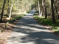 Brandtorenweg
