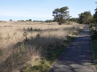 Rozendaalse Zand