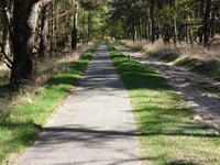 Rozendaalse Zand