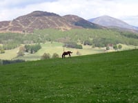 Tom Dubh desde Garry Bridge