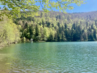 Lac du Ballon vanuit Buhl