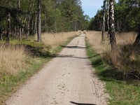 Postberg von Veluwezoom
