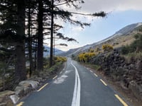Wicklow Gap von Glendalough