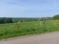 Bois du Chênu