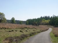 Groenendaal desde Loenermark