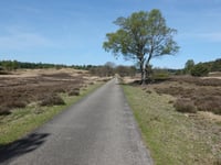 Ramenberg da Loenermark