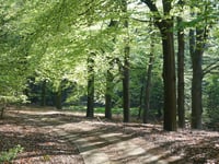 Middenweg