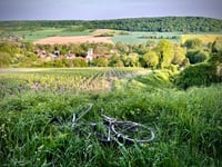 Fôret de Courthiézy von Sainte-Agnan
