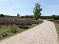 Ramenberg da Loenen