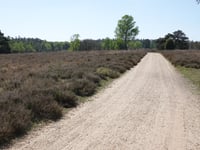 Ramenberg da Loenen