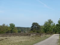 Ramenberg da Loenen