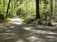 Bruisbeek via Droefakkers