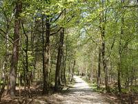 Bruisbeek via Droefakkers