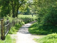 Bruisbeek von Loenen