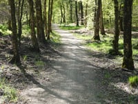 Bruisbeek von Loenen