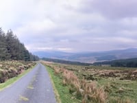 Sally Gap von Kilbride