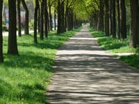 Groenendaalseweg desde Loenen