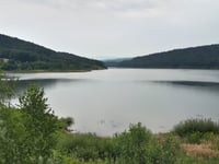 Leśniówka da Zagórze