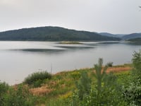 Leśniówka da Zagórze