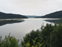 Leśniówka da Zagórze