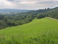 Gruszka von Tarnawa Górna