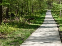 Lierderholt über Oostweg