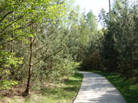 Lierderholt über Oostweg