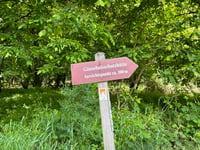 Gänsehals from Thür