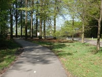 Turfberg vanuit Ugchelen