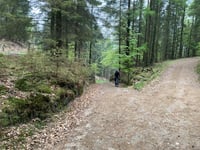 Himmelbjerget über Stenhusvej
