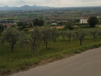 Monte della Croce von Sossano