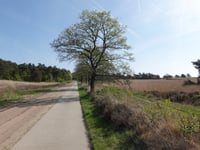 Burelhul da Gerritsflesch