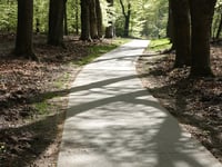 Burelhul da Gerritsflesch