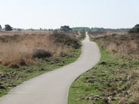 Braamberg / Hoog Buurlose Heide