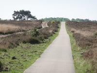 Braamberg / Hoog Buurlose Heide