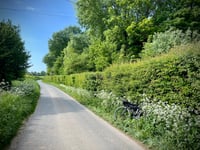 Ryveld über Petite route du Ryveld