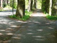 Brouwersweg depuis Hoenderloo