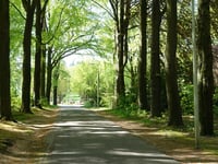 Laan van Eikenhof
