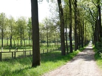 Arckelaan z Hoenderloo