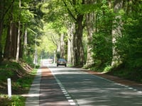Delenseweg von Hoenderloo