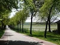 Kop van Deelen from Schaarsbergen